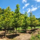 근삼농장 이미지