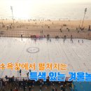 테마파크장 이미지