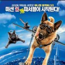 우정앤독스 이미지