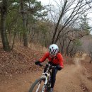 거북이 주유소 이미지