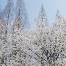 은비랜드 이미지