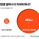 태양의문2 중앙일보