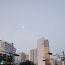 콩심 강제점 이미지