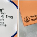 신마산태평양약국 네이버블로그