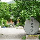용소골민박 Daum카페