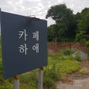 카페하애 이미지
