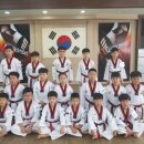 보성태권도 이미지