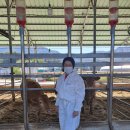 옥천축산 이미지