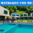 플레이독애견풀빌라 이미지