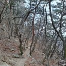 팔봉김밥 이미지