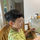 몽비스토리