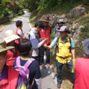 박달재휴양림 이미지