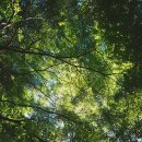 아동상담 이미지