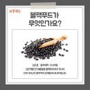 둘레푸드