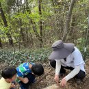 순천곤충박물관 이미지