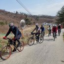 3월 30일 토요정기라이딩기록사진(1) - 산수유마을 이미지