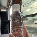 가까운동문약국 | [제주/여행] 여자 혼자 뚜벅이 여행｜핫플버스 서부감성투어 내돈내산