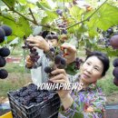 김재훈농장 이미지