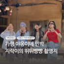 야옹이네 이미지