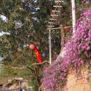 KONG & COFFEE(콩엔커피) 이미지