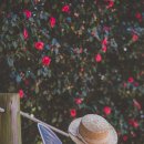 장무공원 화장실 이미지