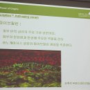 하이디퍼런스 | [오리진스] 플랜트스크립션 안티에이징 세럼 "숨어있는 나이를 측정해 드립니다."