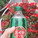 트렌타쥬스 이미지