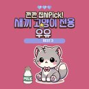 🍼 깐깐 집사Pick! 새끼 고양이 전용 우유 추천 BEST 3! 🐱