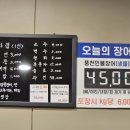 오장어 이미지