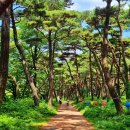 봉곡사 - 1669 | 봉곡사