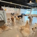 멍블랑 유치원 이미지