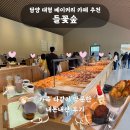 오들길 | 담양 대형 베이커리 카페 들꽃숲 내돈내산 후기｜주차·메뉴 추천·반려동물 동반 야외 펫존 총정리