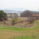 안성버스터미널 택시정류장 이미지