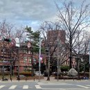 경북대학교 수사과학대학원 이미지