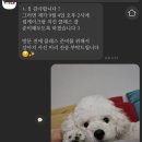 왈테이블 이미지