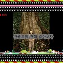 박천농장 이미지