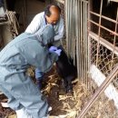 장안축산 이미지