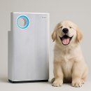 대구학남초등학교 이미지