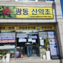 광동산약초