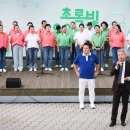 초록빛 이미지