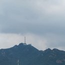 관악산 무장애숲길 Daum카페