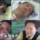 봉양목장 이미지