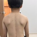 몸편한도수운동센터 이미지