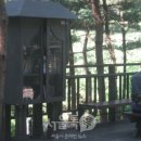 신덕10호 이미지