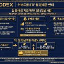 KODEX 금융고배당TOP10타겟위클리커버드콜 투자 전략 총정리 이미지