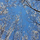 완도LOWA 이미지