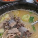 진미본순대 네이버블로그