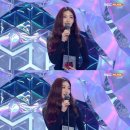 청하체육관 이미지