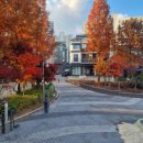 모전공원(놀이터) 이미지