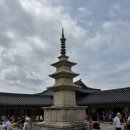 첨성대하우스 | 경주뚜벅이 봄 여행🌸 테라로사 경주점-불국사맛집-첨성대-월정교
